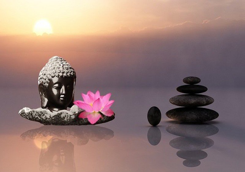 5 điều Phật dạy giúp bạn sớm thành công rực rỡ trong công việc - Vina Aspire
