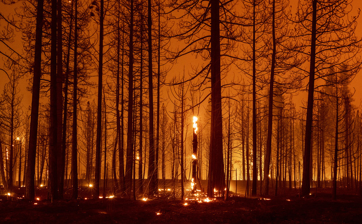 cháy rừng Dixie gần Greenville, California ngày 3-8